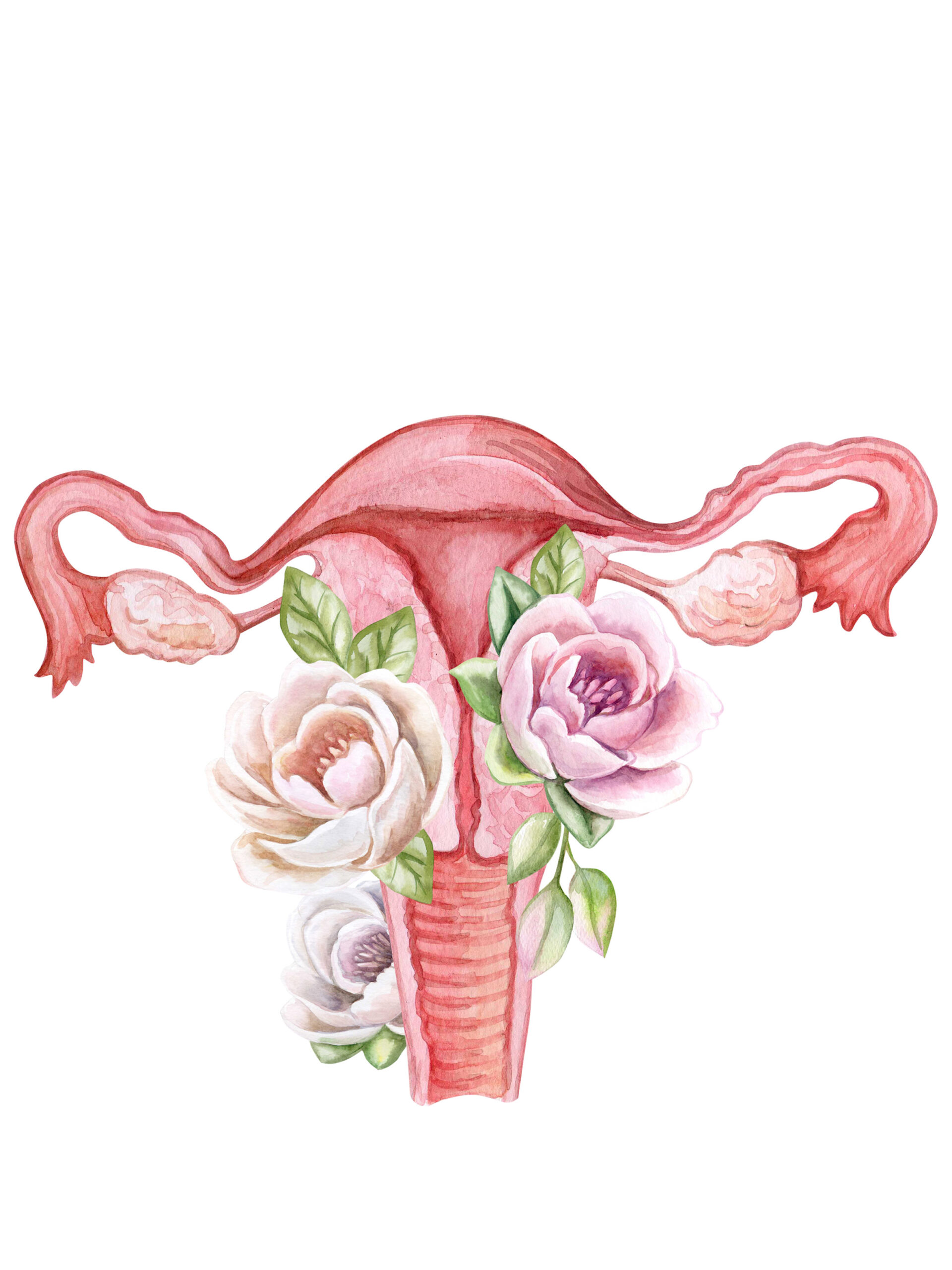 Gebärmutter Gebärmutter, Womb Wisdom, Karin Kornfeld
